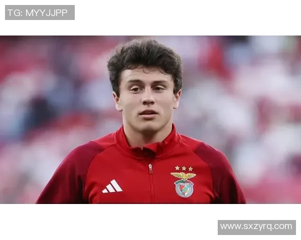 西甲激战：本菲卡逆转那不勒斯神奇扑救点燃全场激情