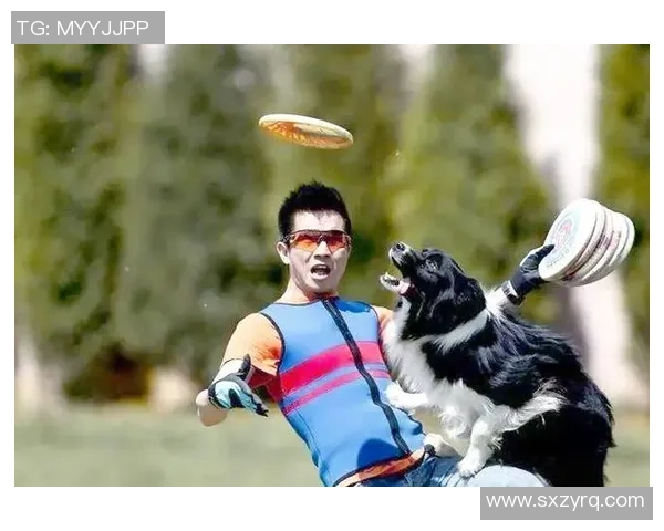 飞盘新手必看:从基础力量训练到技巧提升的全面指南 飞盘新手必看:从基础力量训练到技巧提升的全面指南